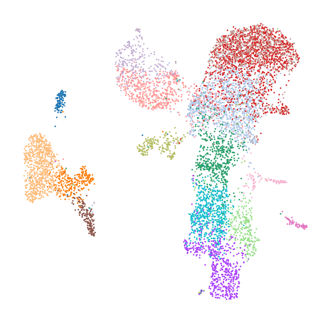 _images/bone-marrow_15_0.png