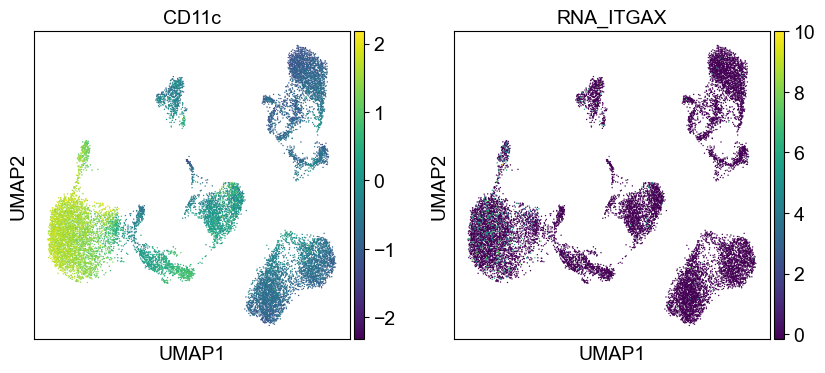 _images/cite-seq-bmnc-donor1-selection_43_1.png
