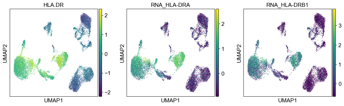 _images/cite-seq-bmnc-donor1-selection_43_24.png