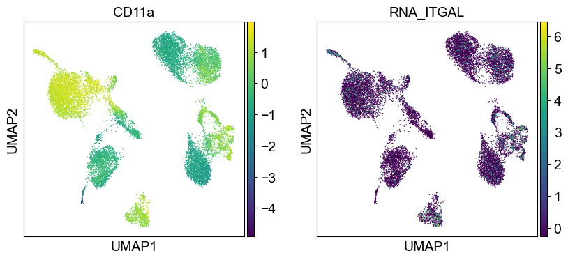 _images/cite-seq-bmnc-donor2-validation_43_1.png