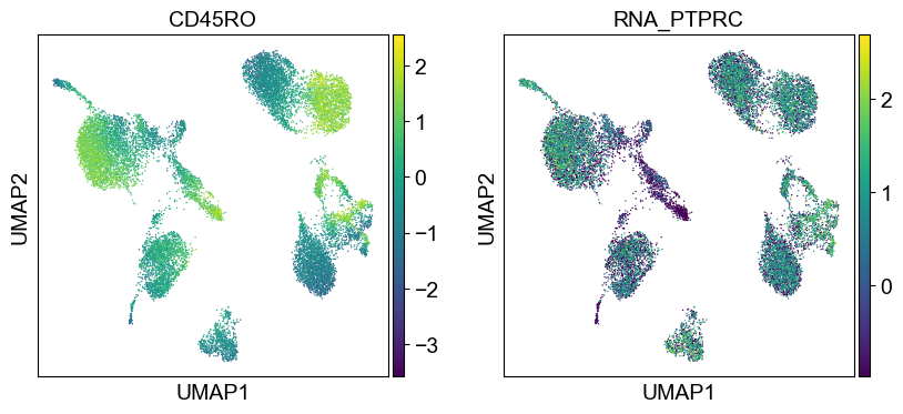_images/cite-seq-bmnc-donor2-validation_43_19.png