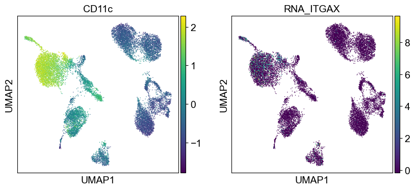 _images/cite-seq-bmnc-donor2-validation_43_2.png
