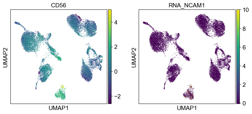 _images/cite-seq-bmnc-donor2-validation_43_20.png