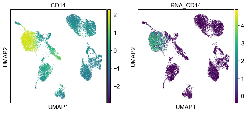 _images/cite-seq-bmnc-donor2-validation_43_5.png