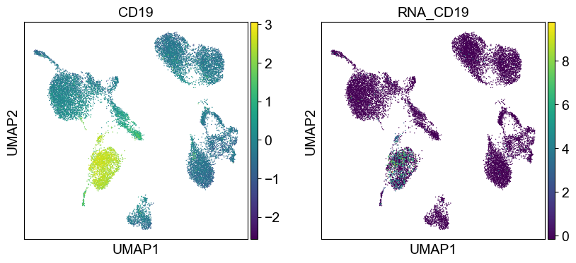 _images/cite-seq-bmnc-donor2-validation_43_8.png
