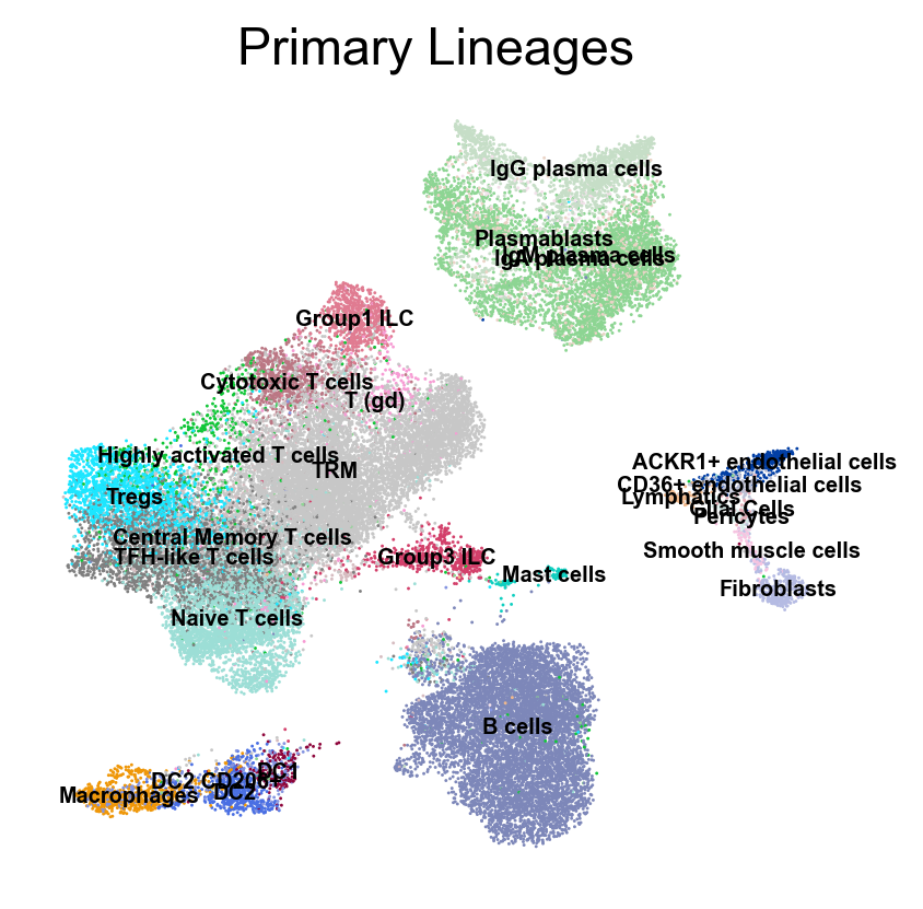 _images/ileum-lamina-propria-immunocytes_29_7.png