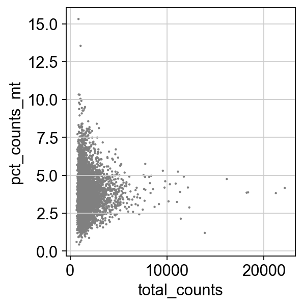 _images/pbmc-cite-seq-rna_12_0.png
