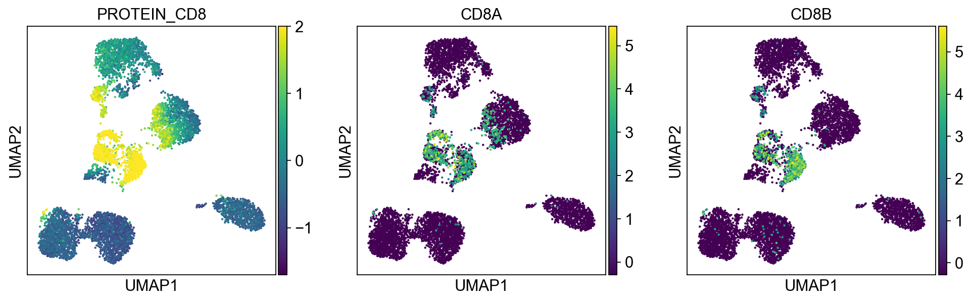 _images/pbmc-cite-seq_25_4.png