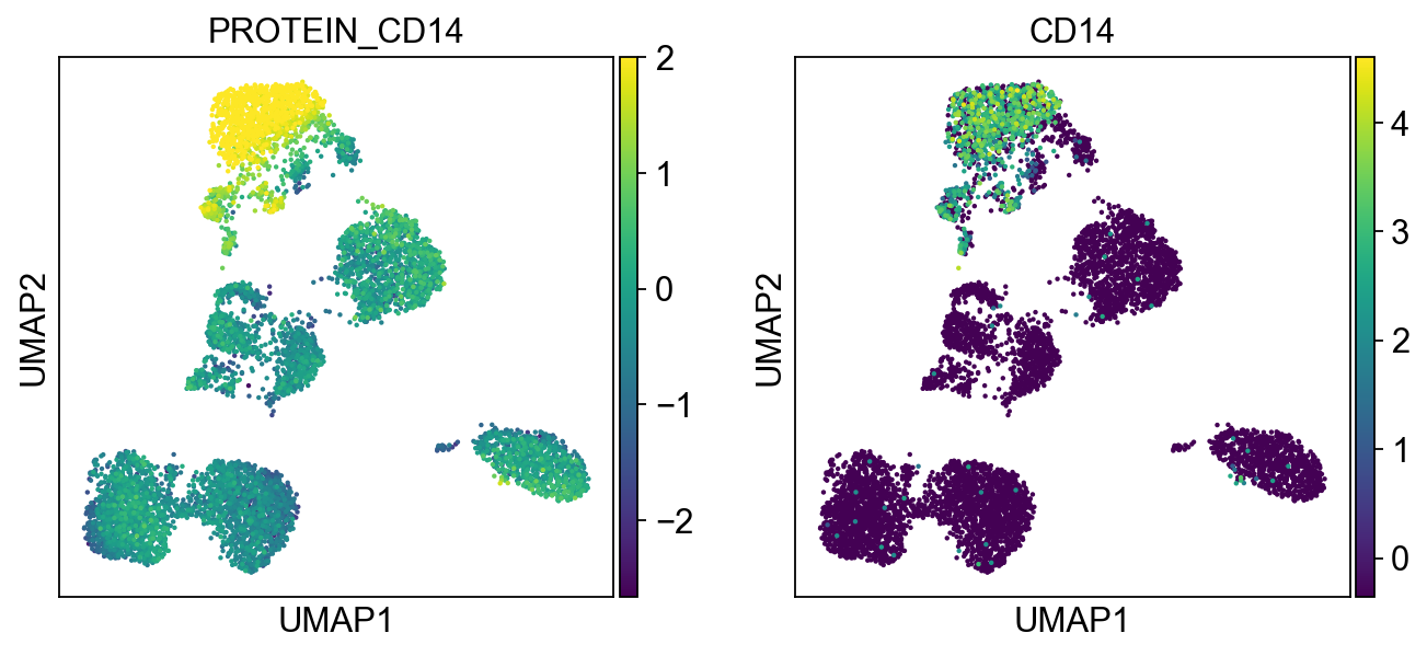 _images/pbmc-cite-seq_25_6.png