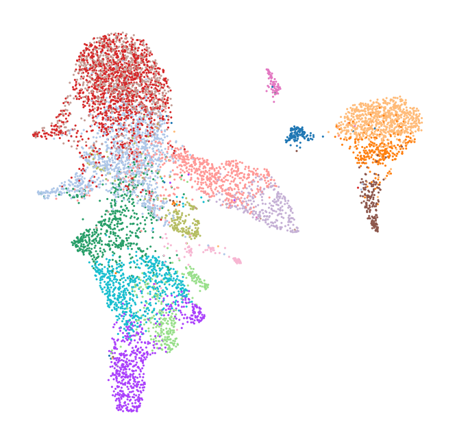 _images/bone-marrow_25_0.png