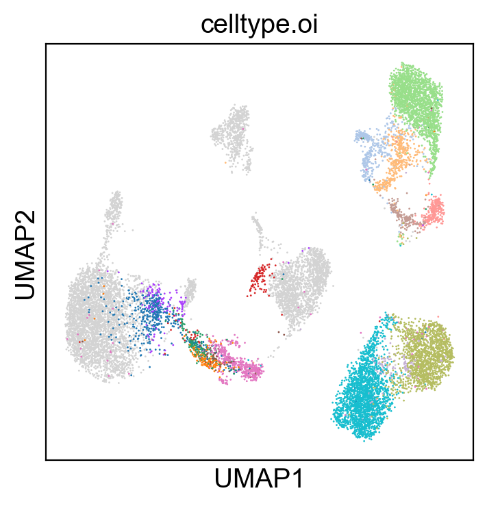 _images/cite-seq-bmnc-donor1-selection_22_0.png