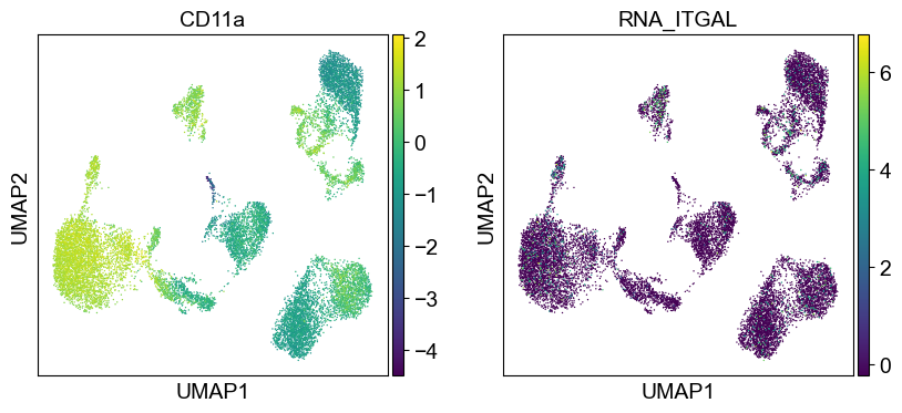 _images/cite-seq-bmnc-donor1-selection_43_0.png