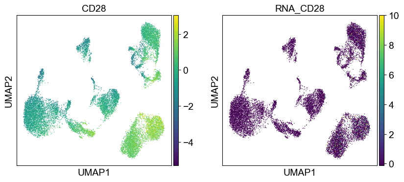 _images/cite-seq-bmnc-donor1-selection_43_12.png