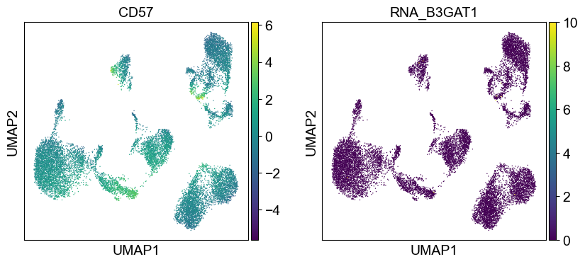 _images/cite-seq-bmnc-donor1-selection_43_20.png
