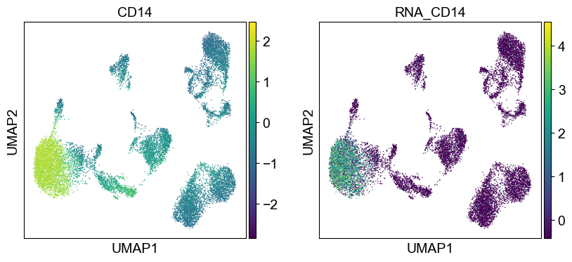 _images/cite-seq-bmnc-donor1-selection_43_4.png