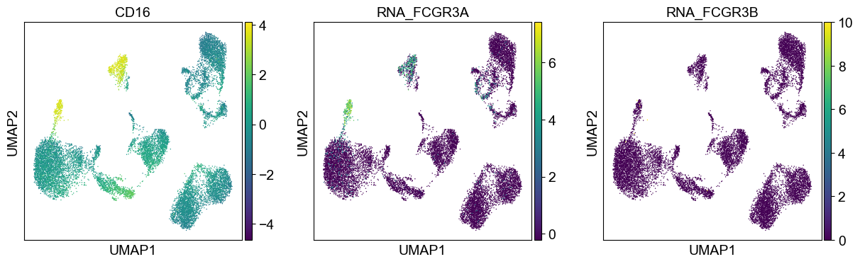 _images/cite-seq-bmnc-donor1-selection_43_5.png