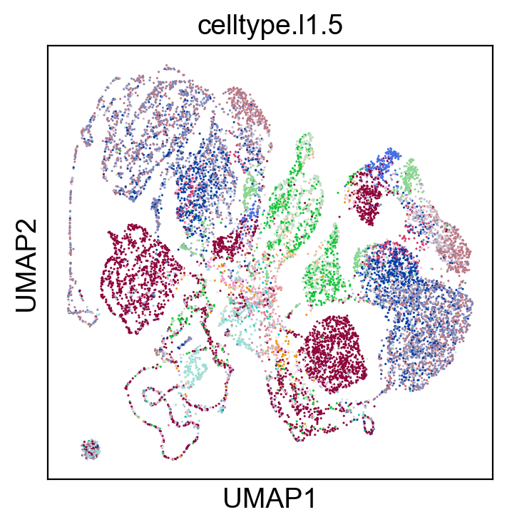 _images/cite-seq-bmnc-donor1-selection_49_2.png