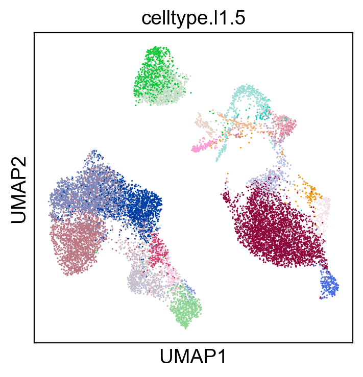 _images/cite-seq-bmnc-donor1-selection_62_2.png
