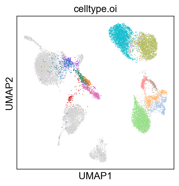 _images/cite-seq-bmnc-donor2-validation_22_1.png