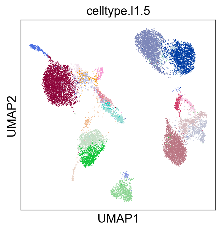 _images/cite-seq-bmnc-donor2-validation_23_0.png