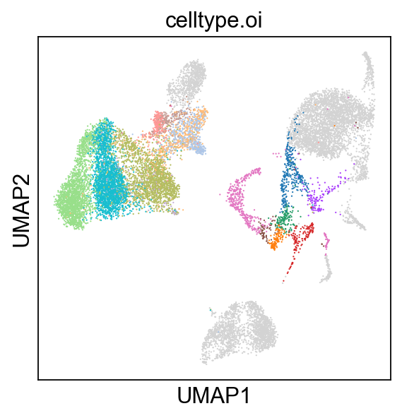 _images/cite-seq-bmnc-donor2-validation_36_1.png