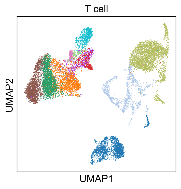 _images/cite-seq-bmnc-donor2-validation_39_0.png