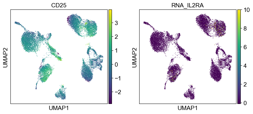 _images/cite-seq-bmnc-donor2-validation_43_10.png