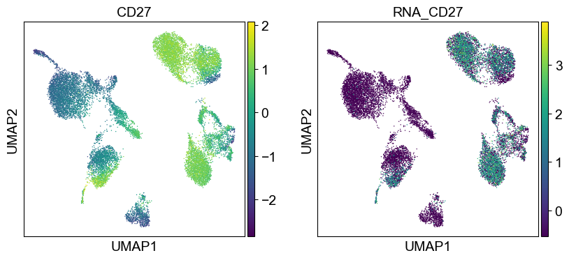 _images/cite-seq-bmnc-donor2-validation_43_11.png