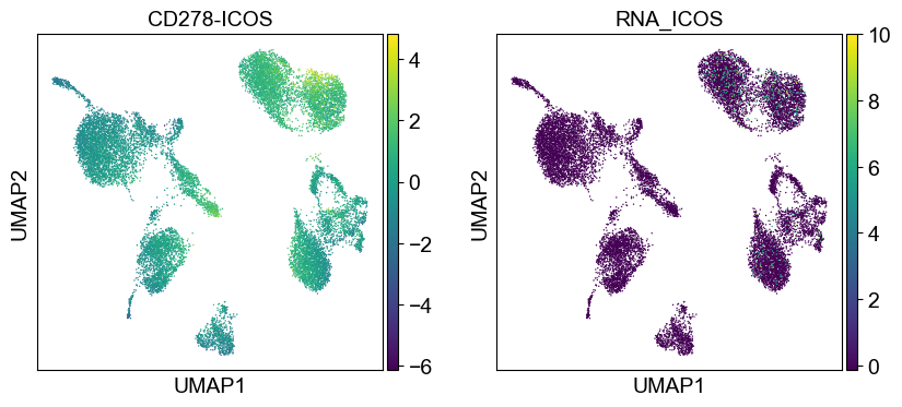 _images/cite-seq-bmnc-donor2-validation_43_12.png