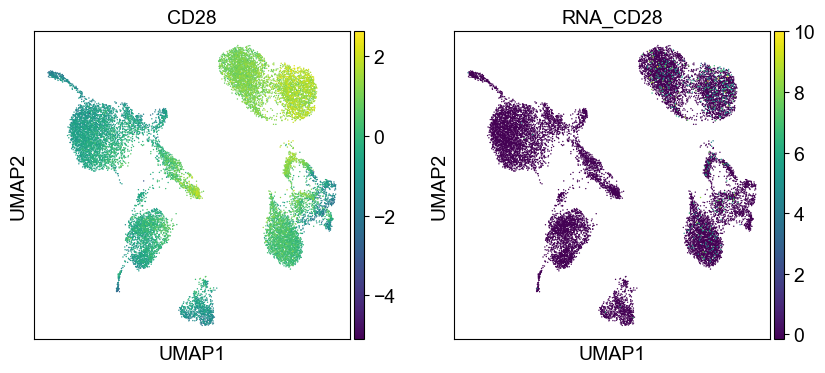 _images/cite-seq-bmnc-donor2-validation_43_13.png