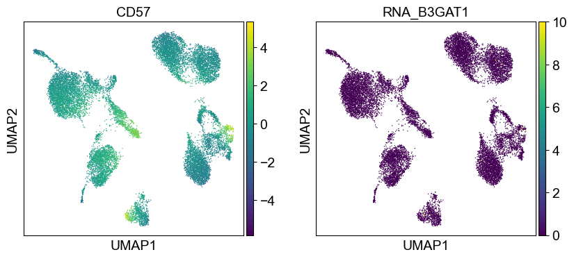 _images/cite-seq-bmnc-donor2-validation_43_21.png
