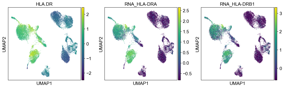 _images/cite-seq-bmnc-donor2-validation_43_25.png