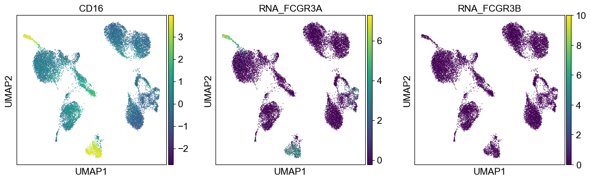 _images/cite-seq-bmnc-donor2-validation_43_6.png