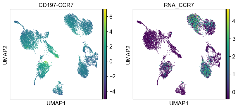 _images/cite-seq-bmnc-donor2-validation_43_9.png