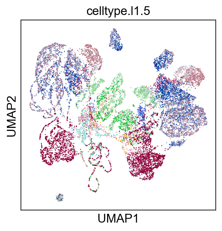 _images/cite-seq-bmnc-donor2-validation_49_2.png