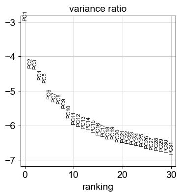 _images/melanoma_30_0.png