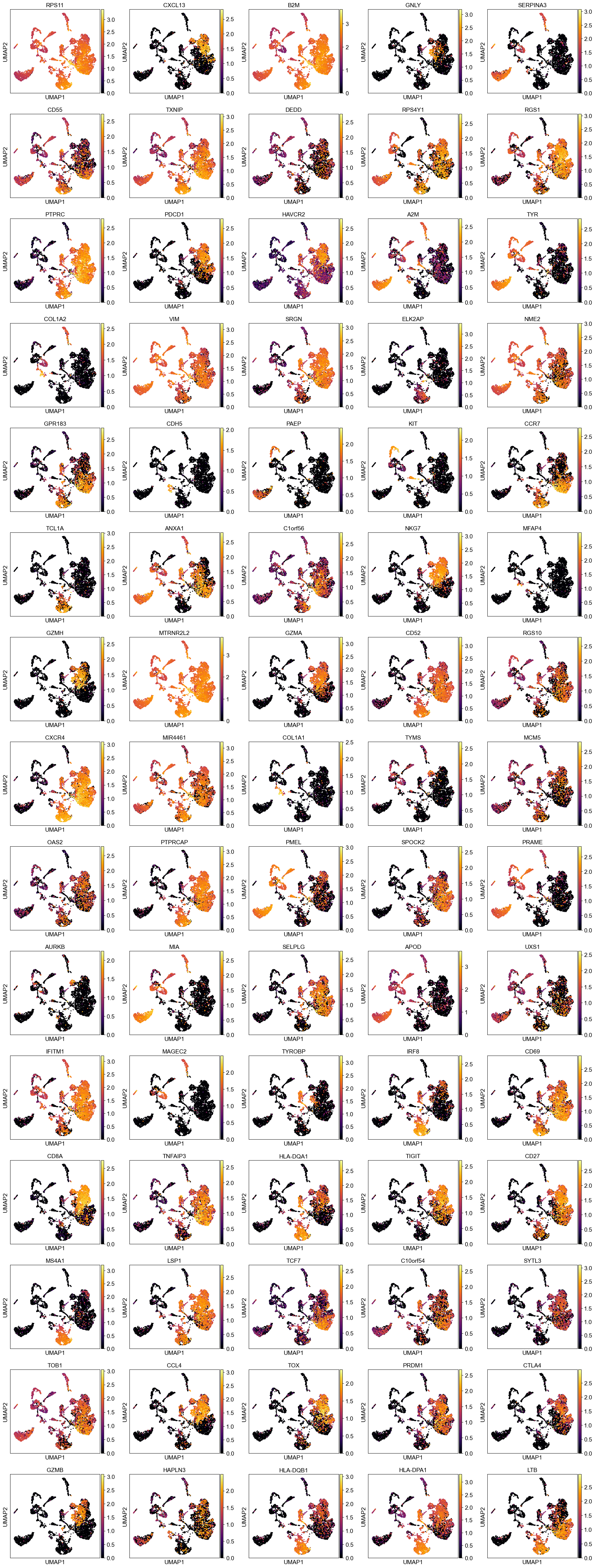_images/melanoma_45_0.png