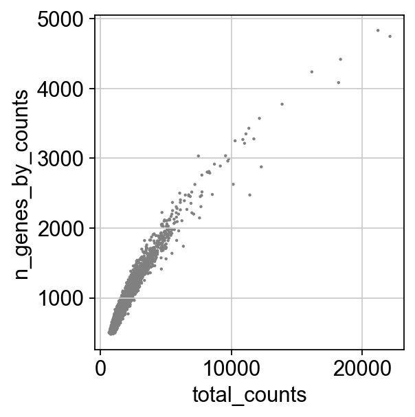 _images/pbmc-cite-seq-rna_12_1.png