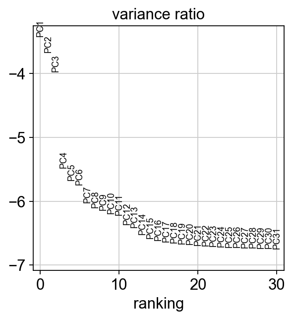 _images/pbmc-cite-seq-rna_24_0.png