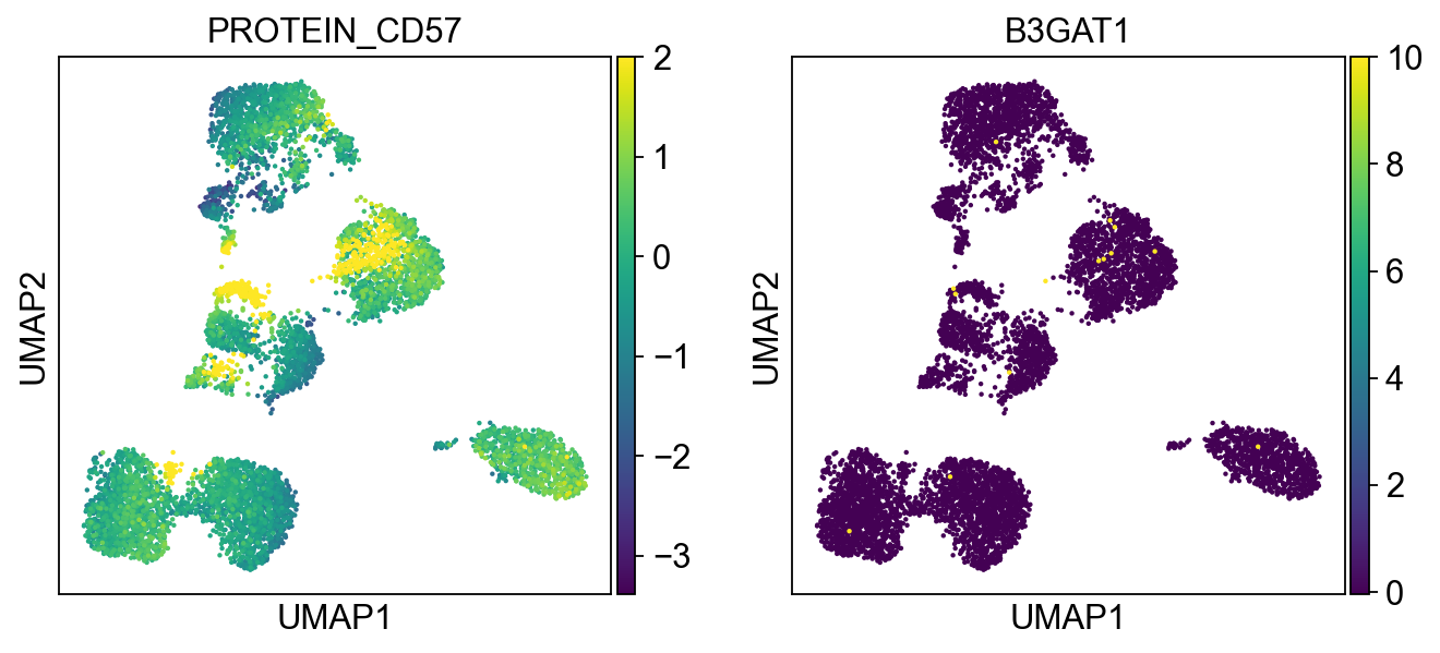 _images/pbmc-cite-seq_25_10.png