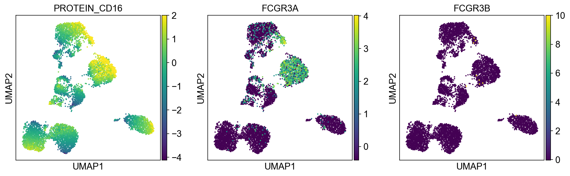 _images/pbmc-cite-seq_25_7.png